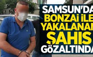 Samsun'da bonzai ile yakalanan şahıs gözaltına alındı
