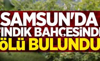 Samsun'da fındık bahçesinde ölü bulundu