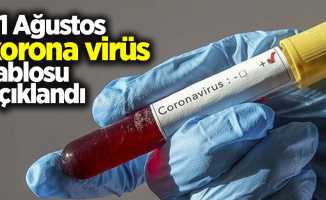 31 Ağustos korona virüs tablosu açıklandı