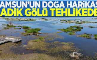 Samsun'un doğa harikası Ladik Gölü tehlikede