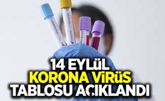 14 Eylül korona virüs tablosu açıklandı