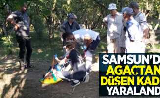 Samsun'da ağaçtan düşen kadın yaralandı