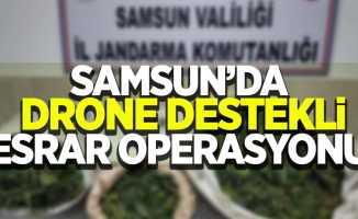 Samsun'da drone destekli büyük esrar operasyonu