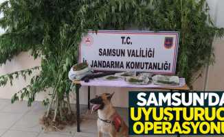 Samsun'da uyuşturucu operasyonu! 