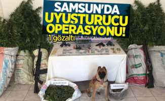 Samsun'da uyuşturucu opersayonu: 1 gözaltı