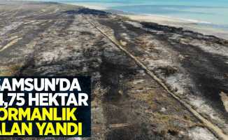 Samsun'da 64,75 hektar ormanlık alan yandı