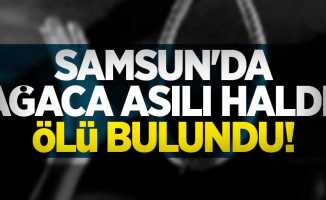 Samsun'da intihar! Ağaca asılı halde ölü bulundu