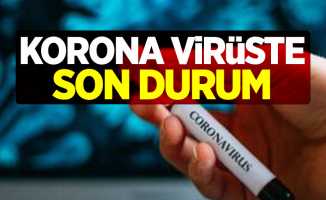Korona virüste son durum