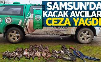 Samsun'da kaçak avcılara ceza yağdı!