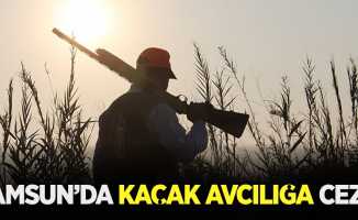 Samsun'da kaçak avcılığa ceza 