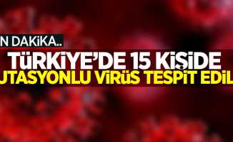 Türkiye'de 15 kişide mutasyonlu virüs tespit edildi!