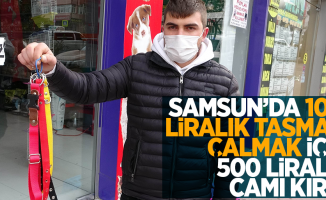 Samsun'da 100 liralık tasmayı çalmak için 500 liralık camı kırdı