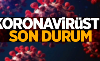 1 Mart korona virüs tablosu açıklandı