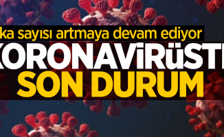 24 Mart koronavirüs tablosu açıklandı