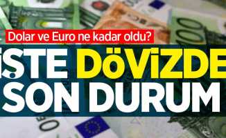 Dolar ve Euro ne kadar oldu? 21 Mart Pazar dövizde son durum...