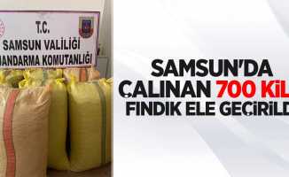 Samsun'da çalınan 700 kilo fındık ele geçirildi