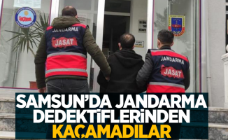 Samsun'da Jandarma dedektiflerinden kaçamadılar