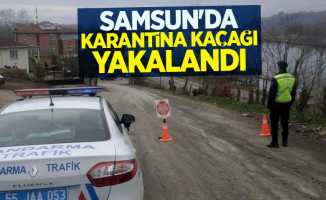 Samsun'da karantina kaçağı yakalandı