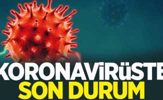 29 Nisan koronavirüs tablosu açıklandı