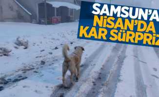 Samsun'a Nisan'da kar sürprizi