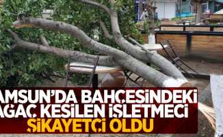 Samsun'da bahçesindeki ağaç kesilen işletmeci şikayetçi oldu
