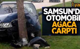 Samsun'da otomobil ağaca çarptı