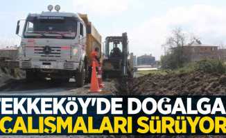 Tekkeköy'de doğalgaz çalışmaları sürüyor