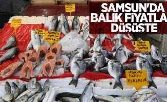 Samsun'da balık fiyatları düşüşte