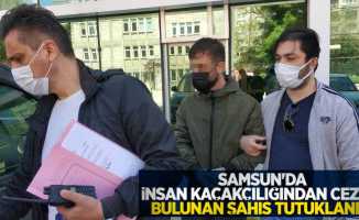 Samsun'da insan kaçakçılığından cezası bulunan şahıs tutuklandı