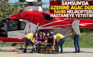Samsun'da üzerine ağaç düşen şahıs helikopterle hastaneye yetiştirildi