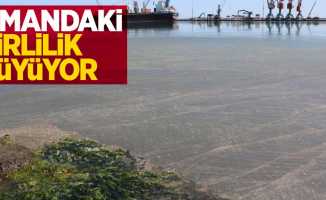Samsun Limanı gün geçtikçe kirleniyor
