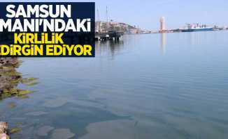Samsun Limanı'ndaki kirlilik tedirgin ediyor