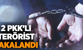 2 PKK'lı terörist yakalandı