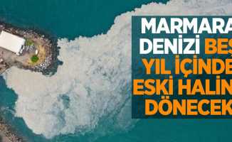 Marmara Denizi 5 yıl içinde eski haline gelecek
