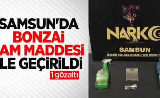 Samsun'da bonzai maddesi ele geçirildi: 1 gözaltı