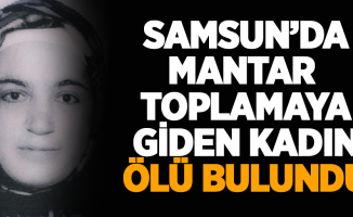 Samsun'da mantar toplamaya giden kadın ölü bulundu