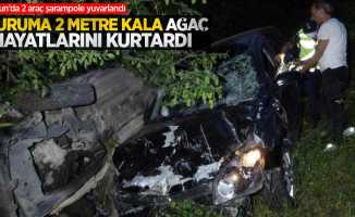 Samsun'da sürücüleri uçuruma 2 metre kala ağaç kurtardı