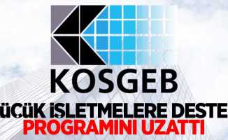 KOSGEB küçük işletmelere destek programını uzattı 