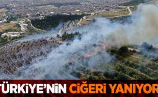 Türkiye'nin ciğerleri yanıyor