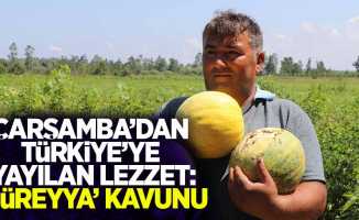 Çarşamba'dan Türkiye'ye yayılan lezzet: 'Süreyya' kavunu 