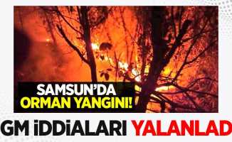 OGM, Samsun'da orman yangını olduğu iddialarını yalanladı