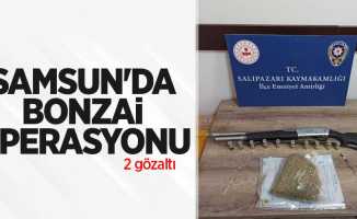 Samsun'da bonzai operasyonu: 2 gözaltı