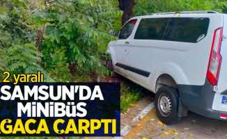 Samsun'da minibüs ağaca çarptı: 2 yaralı