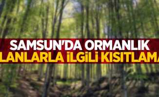 Samsun'da ormanlık alanlarla ilgili kısıtlama!