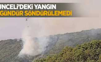Tunceli'deki yangın 11 gündür söndürülemedi