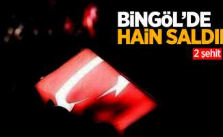 Bingöl'de hain saldırı: 2 şehit