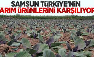 Samsun Türkiye'nin tarım ürünlerini karşılıyor