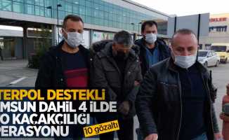 İnterpol destekli Samsun dahil 4 ilde oto kaçakçılığı operasyonu: 10 gözaltı