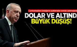 Cumhurbaşkanı Erdoğan'ın açıklamaları sonrası çakılmışlardı! Dolar ve altında büyük düşüş 