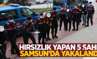 Hırsızlık yapan 5 şahıs Samsun'da yakalandı